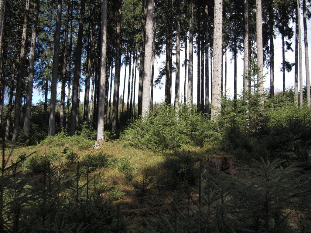 Hintergrund